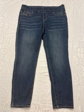 Jordache Women's Dark Blue Slip On Skinny Jeans Size 20W Plus Size